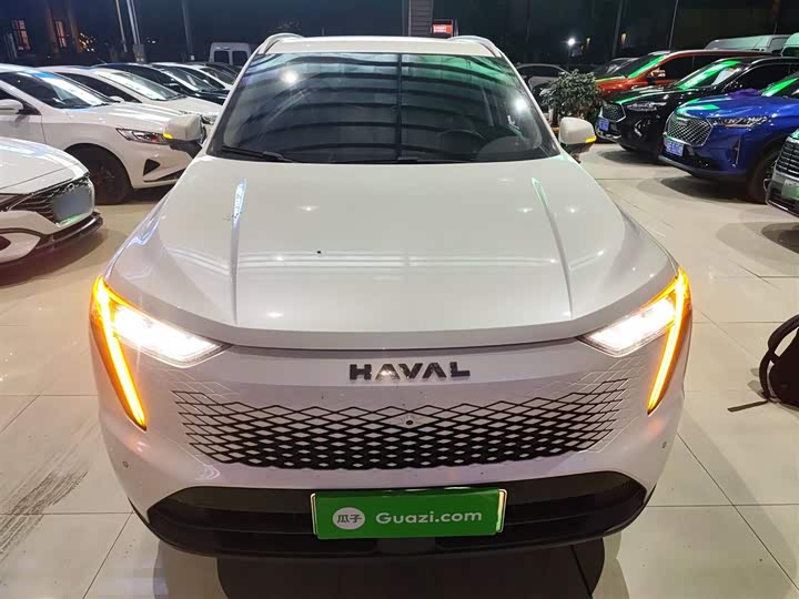 Haval Ruge Max 2023 2023款 1.5L Hi4 105 四驱智能旗舰版