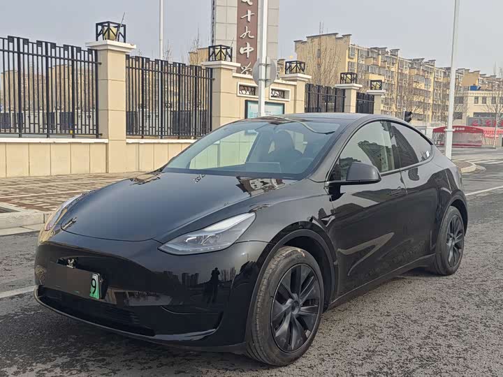Tesla Model Y 2024 2024款 后轮驱动版