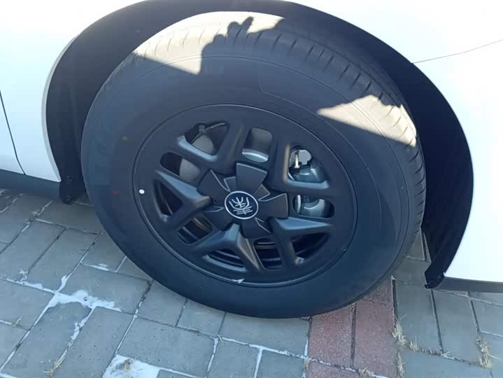 BYD Qin Plus 2025 2025款 DM-i 智驾版 55KM领先型