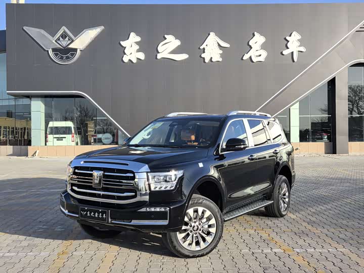 Tank 500 Hybrid 2025 2025款 Hi4-Z