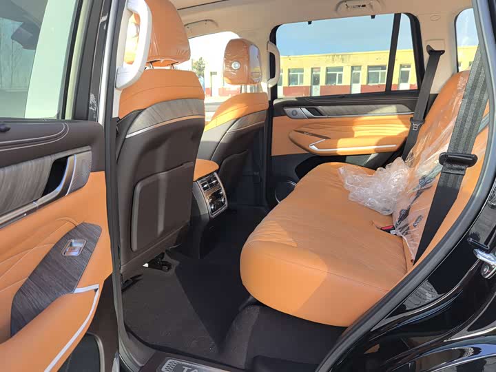 Tank 500 Hybrid 2025 2025款 Hi4-Z