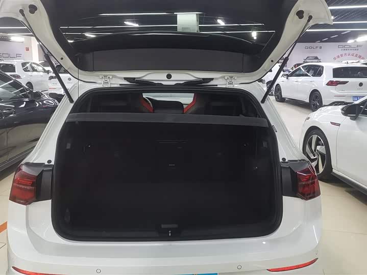 Volkswagen Golf GTI 2021 2021款 380TSI DSG GTI