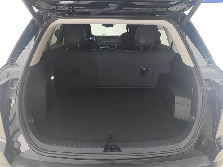 Chevrolet Equinox Plus 2024 2024款 102km RS 至臻版