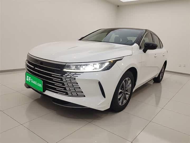 2024 BYD Destroyer 05