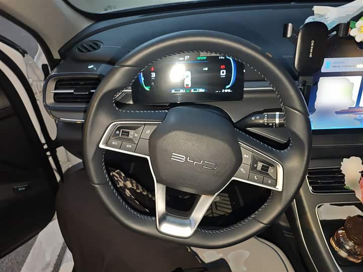 2024 BYD Destroyer 05