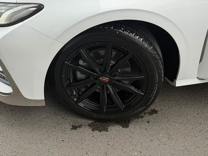 Hongqi H6 2024 2024款 2.0T 致尚版