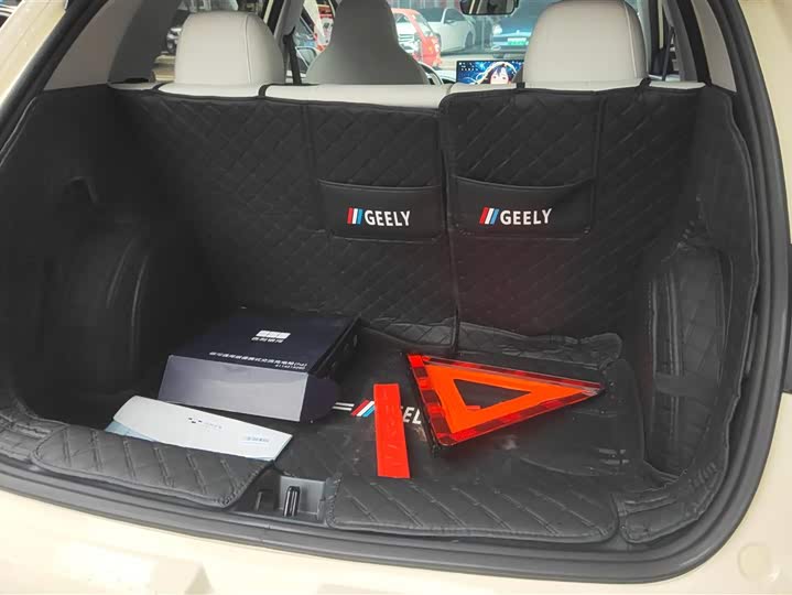 Geely Galaxy Geome 2025 2025款 310km 梦想版