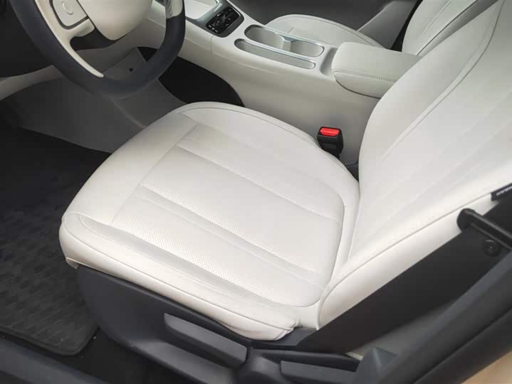 Geely Galaxy Geome 2025 2025款 310km 梦想版