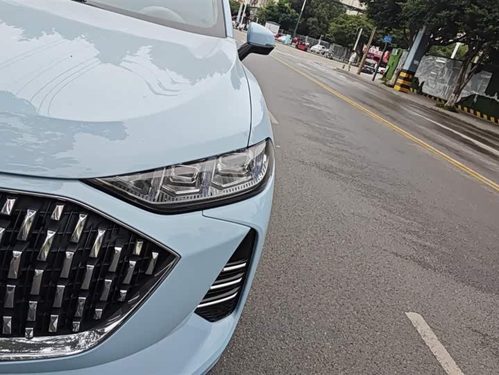 Wey Mocha 2021 2021款 2.0T 两驱特浓版