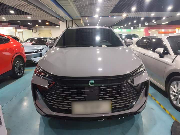 2025 BYD Tang Hybrid/EV