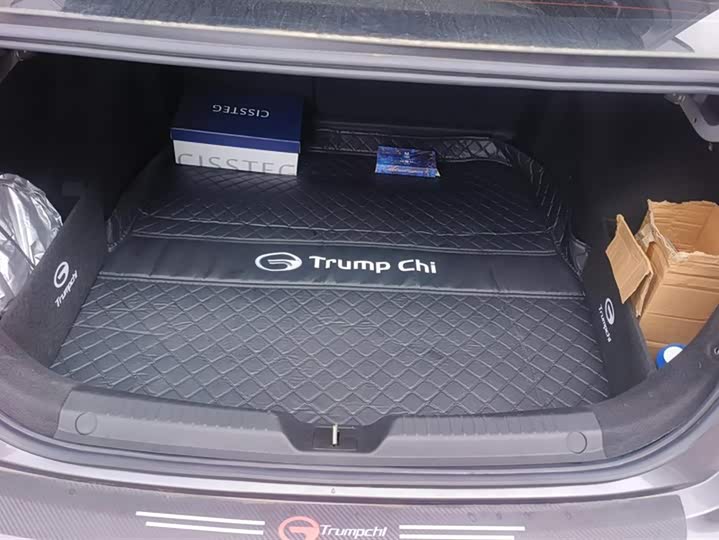 2024 GAC Trumpchi Empow R