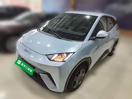 BYD Seagull 2025 2025款 305km 活力版