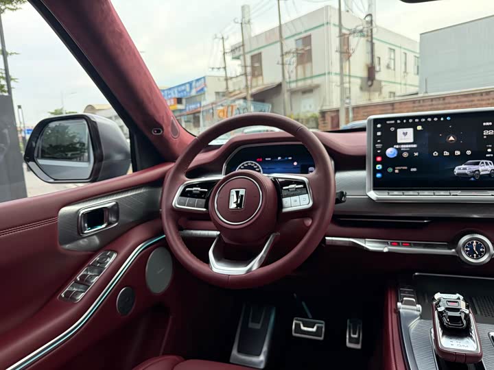 Tank 700 Hybrid 2024 2024款 Hi4-T 极境版