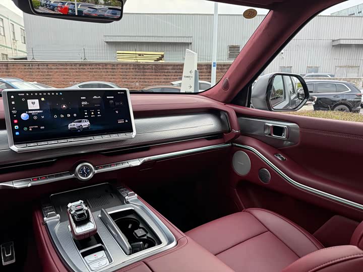 Tank 700 Hybrid 2024 2024款 Hi4-T 极境版