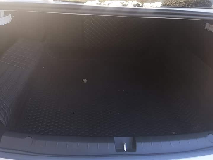 BYD Qin Plus 2025 2025款 DM-i 智驾版 55KM领先型