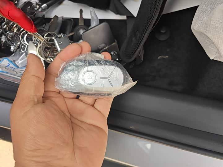 Geely Galaxy Geome 2026 2026款 410km 自由版