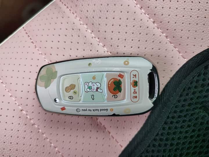 Geely Galaxy Panda Mini 2025 2025款 熊猫mini 210km 元气熊