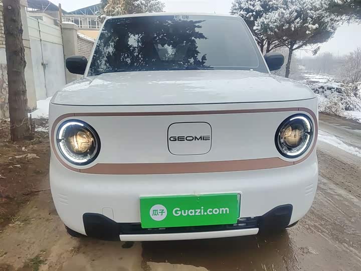 Geely Galaxy Panda Mini 2025 2025款 熊猫mini 210km 元气熊