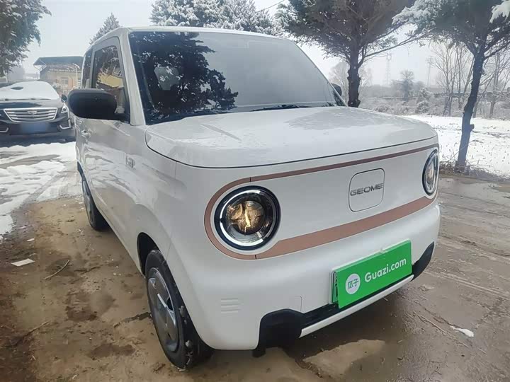 Geely Galaxy Panda Mini 2025 2025款 熊猫mini 210km 元气熊
