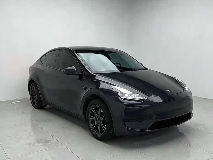 Tesla Model Y 2024 2024款 后轮驱动版