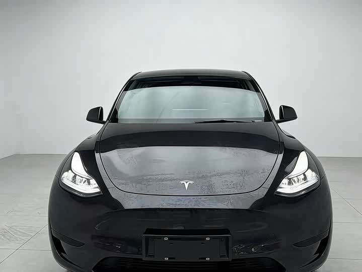 Tesla Model Y 2024 2024款 后轮驱动版
