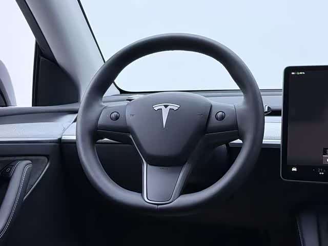 Tesla Model Y 2024 2024款 后轮驱动版