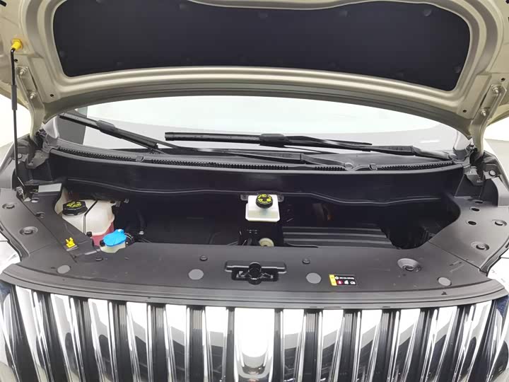 Wey Gaoshan 2023 2023款 四驱旗舰版