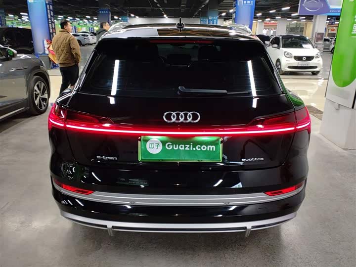 Audi e-tron 2021 2021款 50 quattro 臻选型