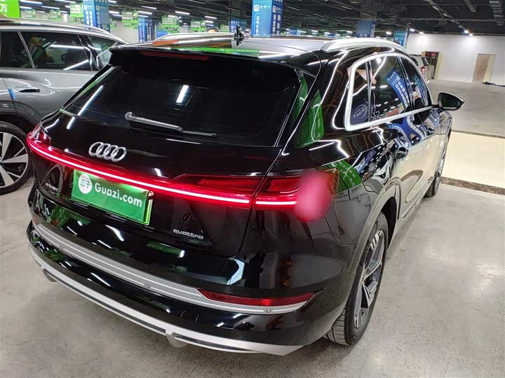 Audi e-tron 2021 2021款 50 quattro 臻选型