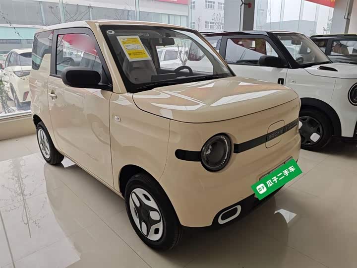Geely Galaxy Panda Mini 2025 2025款 熊猫mini 210km 元气熊