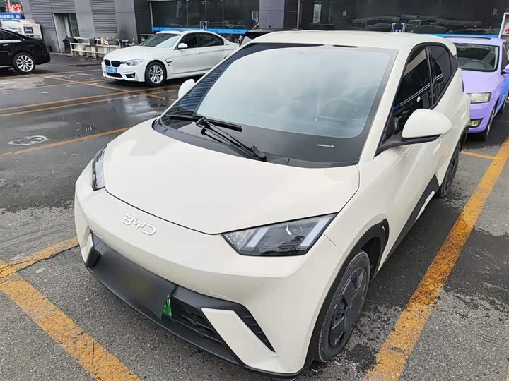 BYD Seagull 2025 2025款 305km 活力版