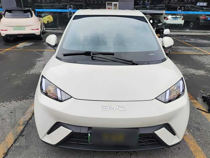 BYD Seagull 2025 2025款 305km 活力版