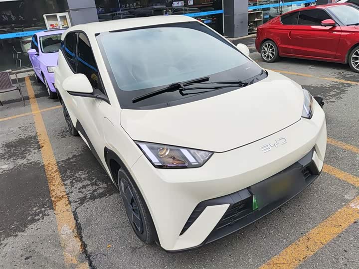 BYD Seagull 2025 2025款 305km 活力版