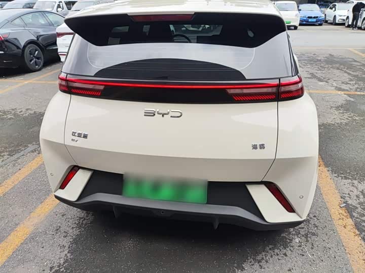 BYD Seagull 2025 2025款 305km 活力版