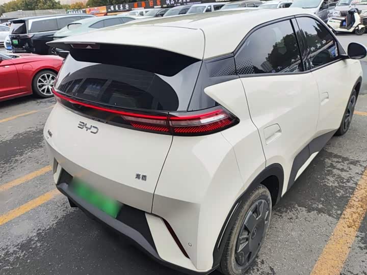 BYD Seagull 2025 2025款 305km 活力版