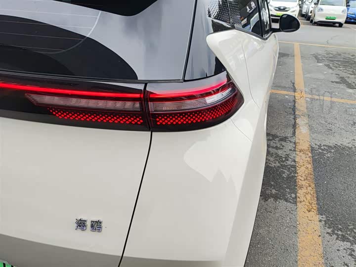 BYD Seagull 2025 2025款 305km 活力版