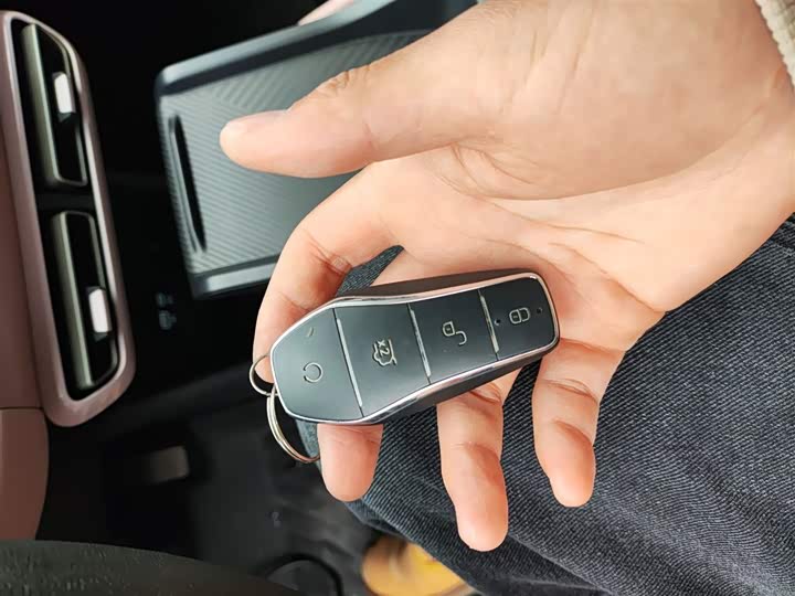 BYD Seagull 2025 2025款 305km 活力版