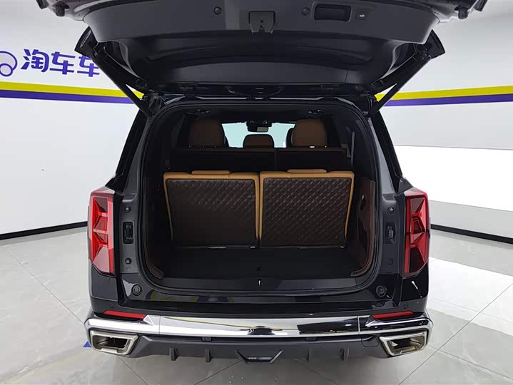 GAC Trumpchi GS8 2024 2024款 双擎系列 2.0TM 两驱尊贵版