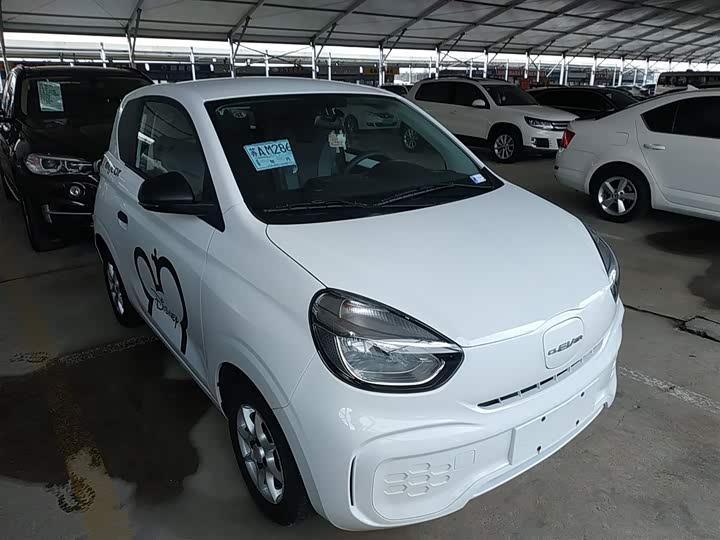 Roewe Clever 2022 2022款 311km元气啵啵版