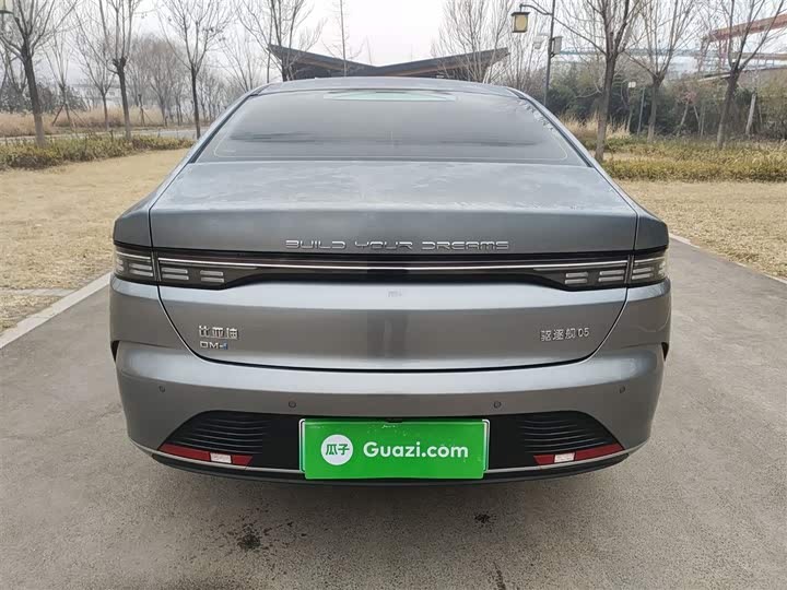 BYD Destroyer 05 2024 2024款 荣耀版 DM-i 55KM 豪华型