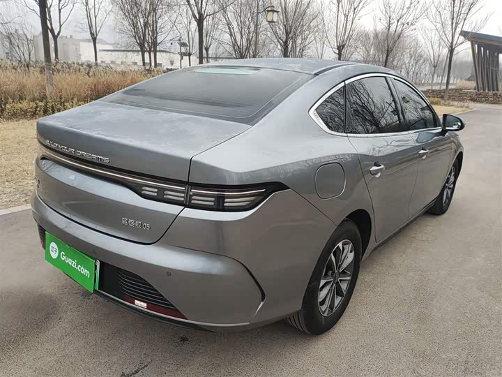 BYD Destroyer 05 2024 2024款 荣耀版 DM-i 55KM 豪华型