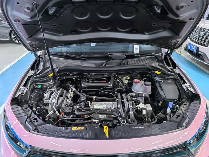 Mercedes-Benz EQA 2022 2022款 EQA 300 4MATIC 首发特别版