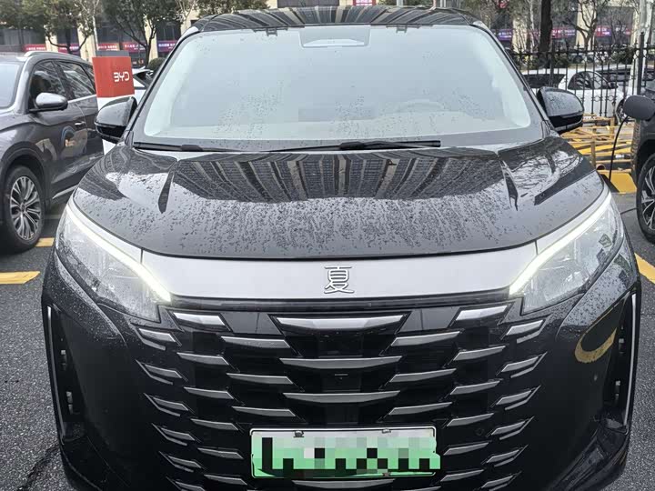 BYD Xia 2025 2025款 DM-i 1.5T 180km 卓越型