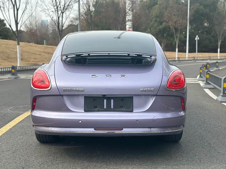 Ora Lightning Cat (07) 2022 2022款 555km 尊贵版