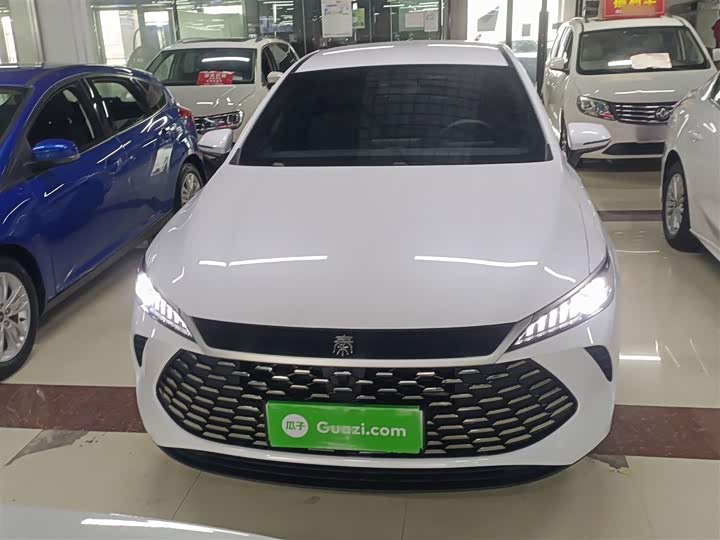 BYD Qin Plus 2025 2025款 DM-i 智驾版 55KM领先型