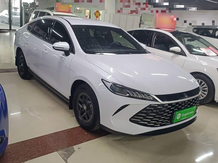 BYD Qin Plus 2025 2025款 DM-i 智驾版 55KM领先型