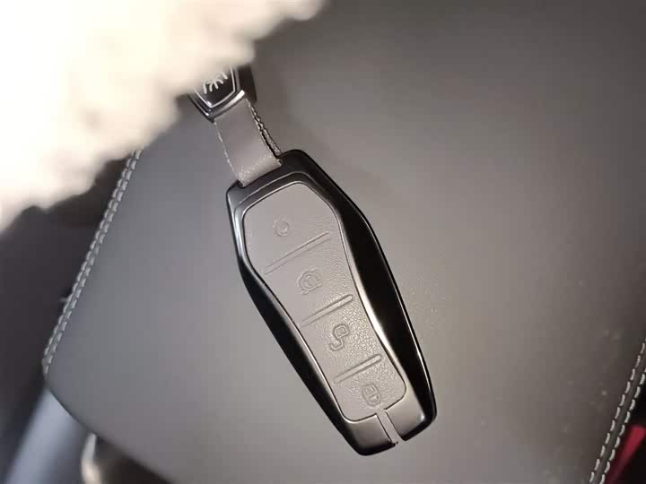 BYD Qin Plus 2025 2025款 DM-i 智驾版 55KM领先型