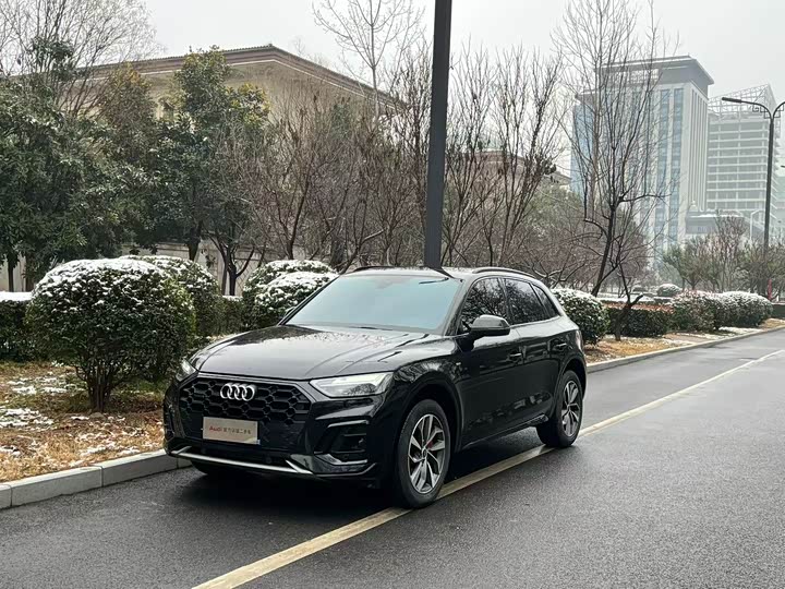 Audi Q5L 2025 2025款 45 TFSI 豪华动感型