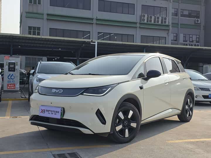BYD Dolphin 2025 2025款 智驾版 410km 时尚版