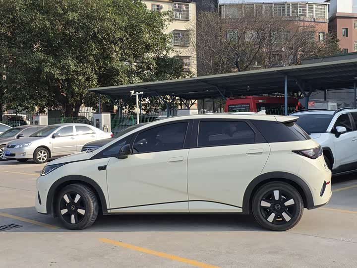 BYD Dolphin 2025 2025款 智驾版 410km 时尚版